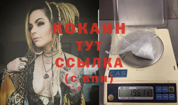 Альфа ПВП Саки