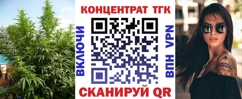 ТГК Wax  Багратионовск 