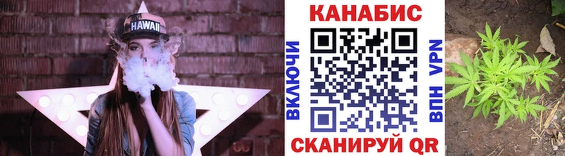 Бошки Шишки план  Багратионовск 